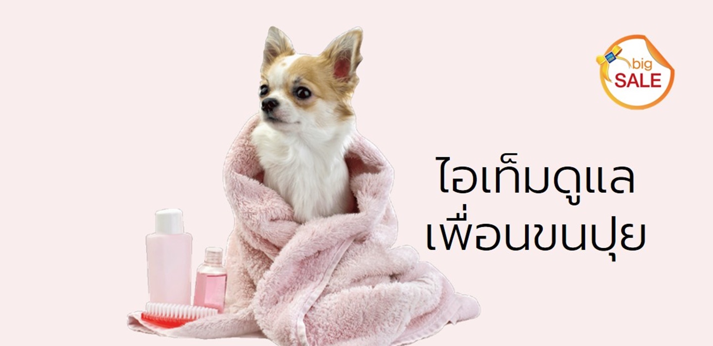 ไอเท็มดูแลเพื่อนขนปุย เลือกช้อปที่ LivingClick